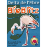 Bioblitz Delta del Ebro (ES/EN/CAT)