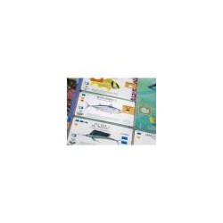 Finspan