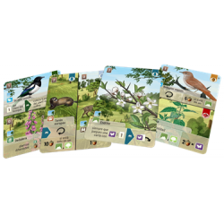 Linde del bosque - Forest Shuffle