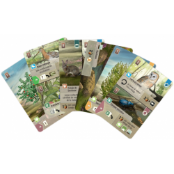 Dartmoor - Forest Shuffle