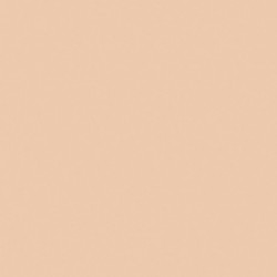 [70.928] 005 - Carne Clara 18 ml - Matt - Model Color