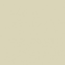 [70.918] 004 - Hueso 18 ml - Matt - Model Color