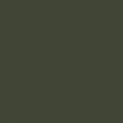 [70.888] 107 - Gris Oliva 18 ml - Matt - Model Color