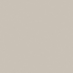 [70.883] 166 - Gris Plateado 18 ml - Matt - Model Color