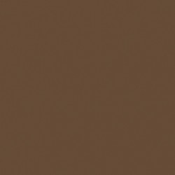 [70.874] 141 - Tierra Oscura 18 ml - Matt - Model Color