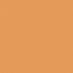 [70.845] 012 - Carne Dorada 18 ml - Matt - Model Color