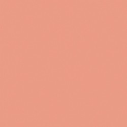 [70.835] 007 - Rosa Salmón 18 ml - Matt - Model Color