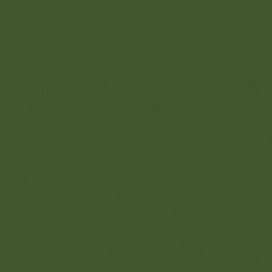 [70.833] 087 - Verde Helecho 18 ml - Matt - Model Color