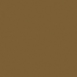 [70.824] 133 - Ocre Naranja 18 ml - Matt - Model Color