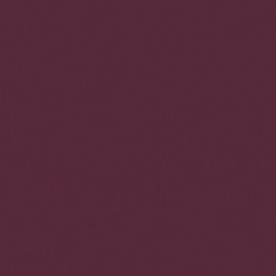 [70.812] 046 - Rojo Violeta 18 ml - Matt - Model Color