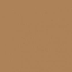 [70.767] 138 - Marrón Desierto 18 ml - Matt - Model Color