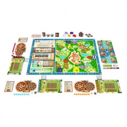 Velas Florecientes - El Valle de los Molinos