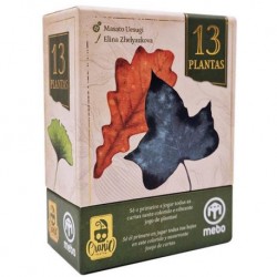 13 Plantas