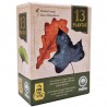 13 Plantas