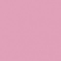 [70.748] 042 - Rosa Claro 18 ml - Matt - Model Color