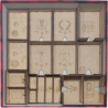 Inserto compatible con ELEVEN (Base + 5 expansiones)