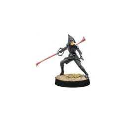 Fifth Brother & Seventh Sister - Legion - Star Wars (ES/DE/EN/FR)