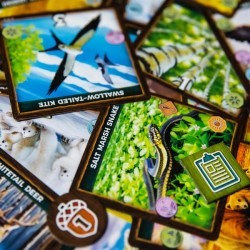 Keystone - Norteamérica