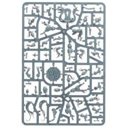 Equipo de Amazons: Kara Temple Harpies - Blood Bowl