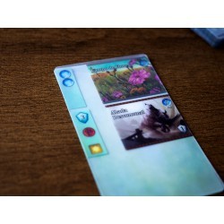 Mystic Vale: Edición Esencial