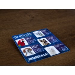 Pequeños agentes - Detective