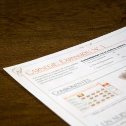 Expansión 1 - Carnegie