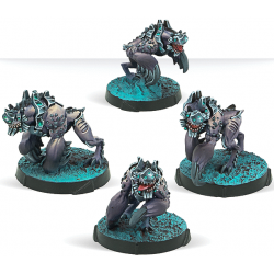 Taigha Creatures - Infinity (ES-EN)