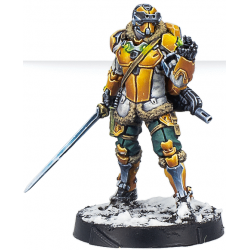 Ye Mao Infantry (Hacker) - Infinity (ES-EN)