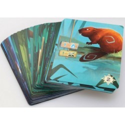 Living Forest (Portugués)