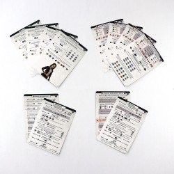 Spanish Language Pack - Perseverance: Castaway Chronicles