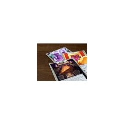 Fantasías y Futuros - Tapestry