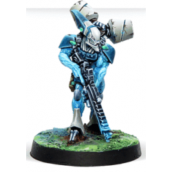 Spiral Corps Army Pack - Infinity CodeOne