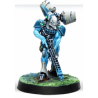Spiral Corps Army Pack - Infinity CodeOne