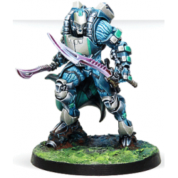 Spiral Corps Army Pack - Infinity CodeOne