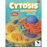 Cytosis - Un juego de biología celular (2ª Edición)