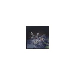 Unmatched Adventures: Relatos Asombrosos