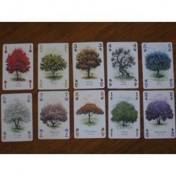 Arboretum (Caja verde)