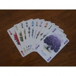 Arboretum (Caja verde)