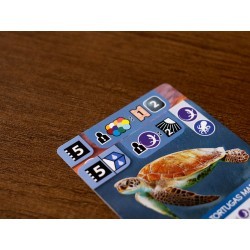 Mundo Marino - Ark Nova