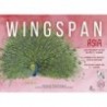 Asia - Wingspan